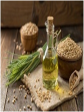 Wheat germ oil